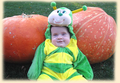 Long Island Pumpkin Picking | Best Long Island Pumpkins | Long Island Pumpkins | U-pick Pumpkins | Best Pumpkin Picking on Long Island | Best Pumpkins | New York Pumpkin Picking | Pick Your Own Pumpkin | Pumpkin Field | Melville Pumpkin Picking