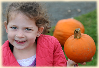 Long Island Pumpkin Picking | Best Long Island Pumpkins | Long Island Pumpkins | U-pick Pumpkins | Best Pumpkin Picking on Long Island | Best Pumpkins | New York Pumpkin Picking | Pick Your Own Pumpkin | Pumpkin Field | Melville Pumpkin Picking